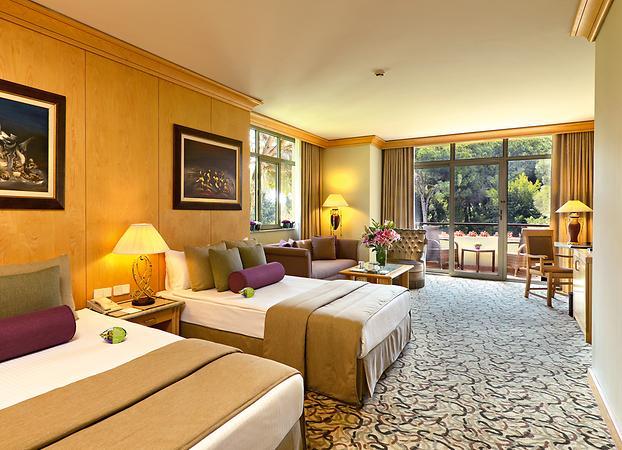Deluxe Suite